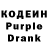 Codein Purple Drank Zhansaya Begadil